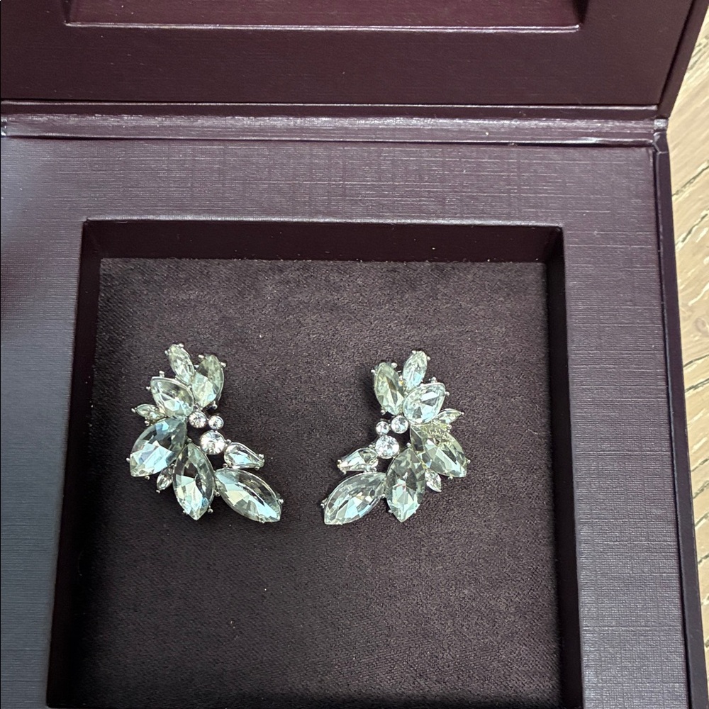 Crystal Cluster Ear Crawler Earrings in Clear
